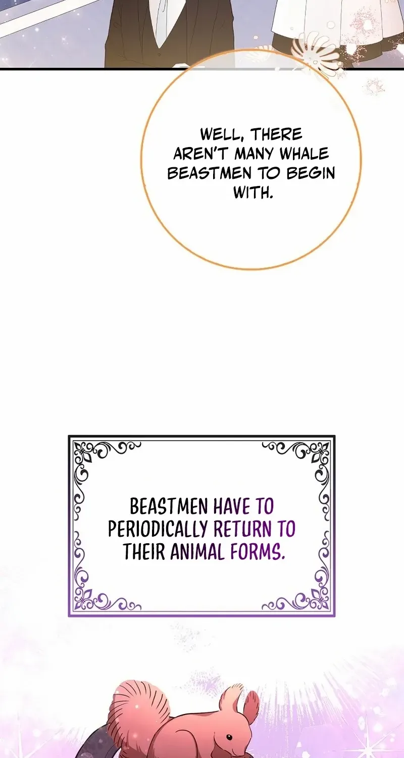 The Crazy Killer Whale’s Favourite Penguin Chapter 5 page 14 - 