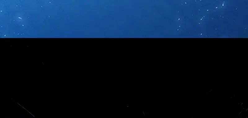 The Crazy Killer Whale’s Favourite Penguin Chapter 6 page 13 - 