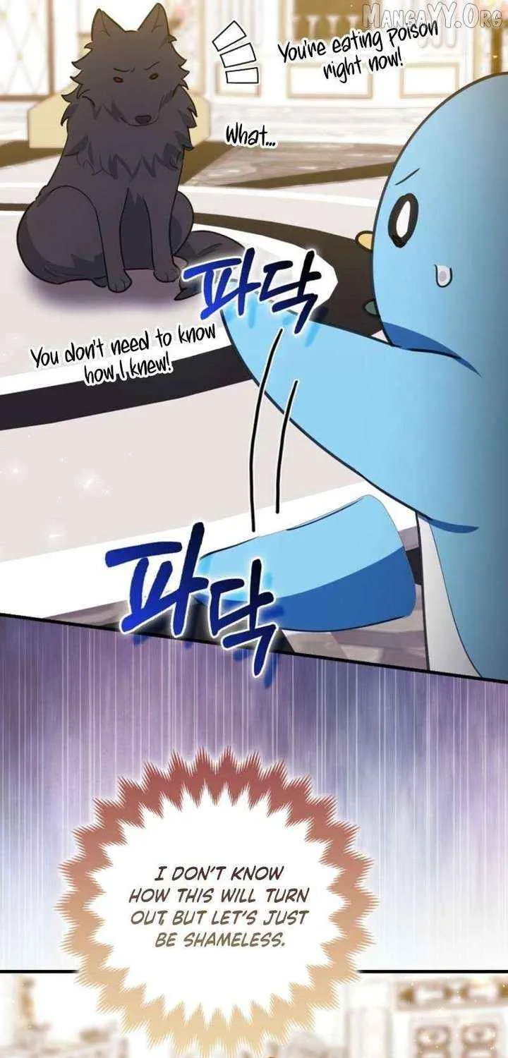 The Crazy Killer Whale’s Favourite Penguin Chapter 62 page 37 - 