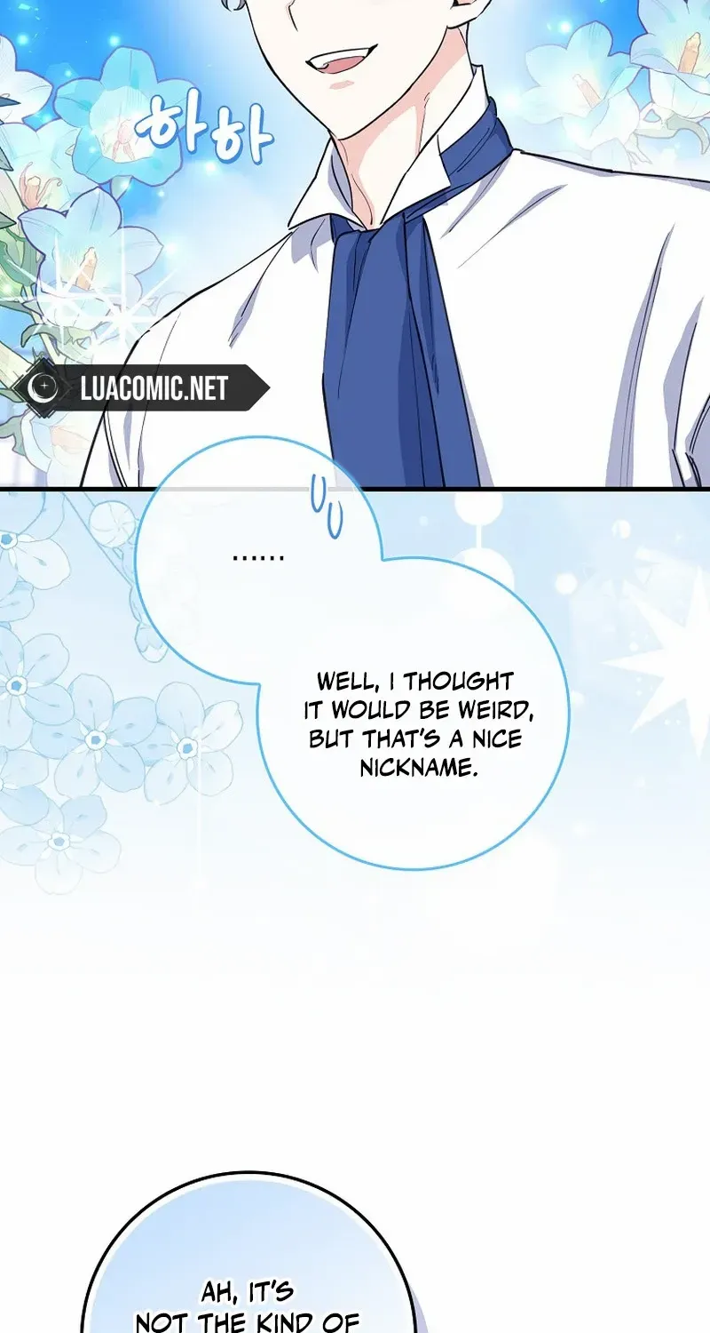 The Crazy Killer Whale’s Favourite Penguin Chapter 8 page 11 - 
