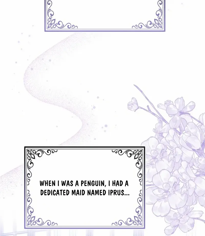 The Crazy Killer Whale’s Favourite Penguin Chapter 9 page 8 - 