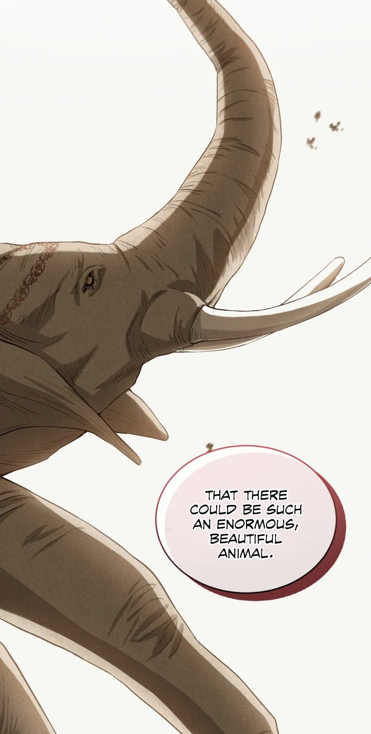 The Crimson Lady Chapter 10 page 91 - 