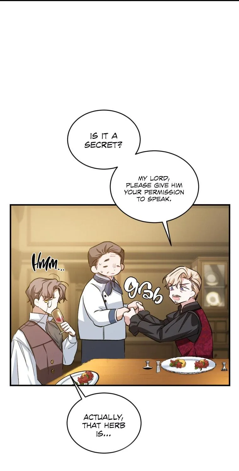 The Crimson Lady Chapter 13 page 33 - 