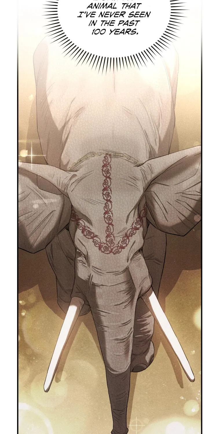 The Crimson Lady Chapter 9 page 16 - 