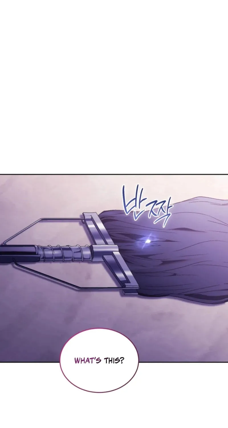 The Crimson Lady Chapter 95 page 25 - 