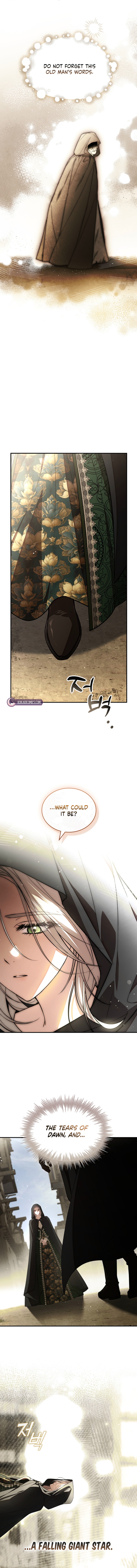 The Crown I Will Take From You Chapter 17 page 13 - 