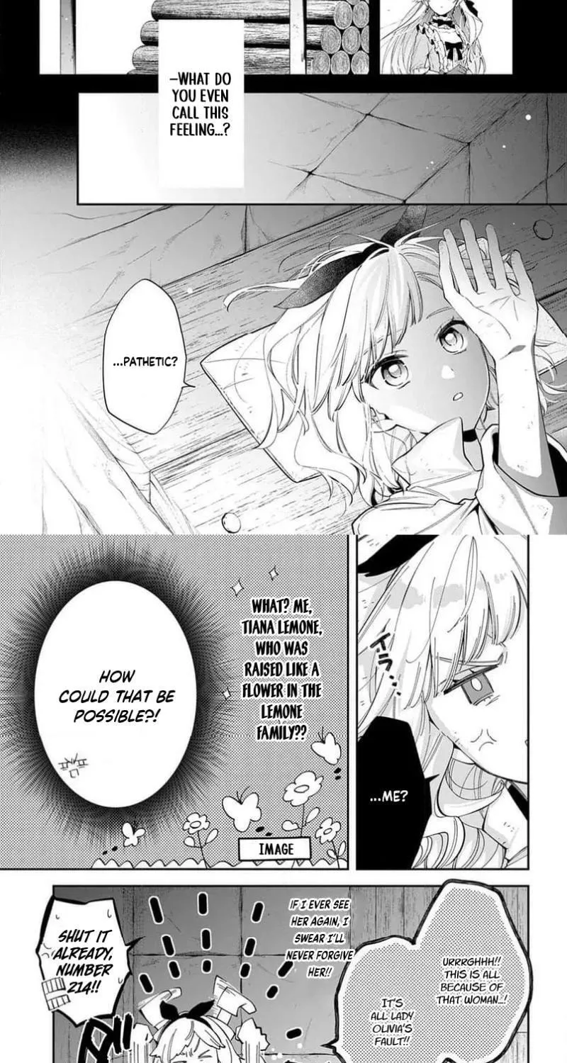 The Crown Prince Broke Off Our Engagement, So I