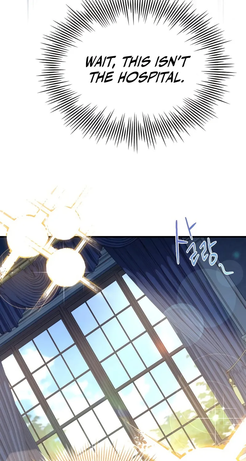 The Crown Prince That Sells Medicine Chapter 1 page 29 - 