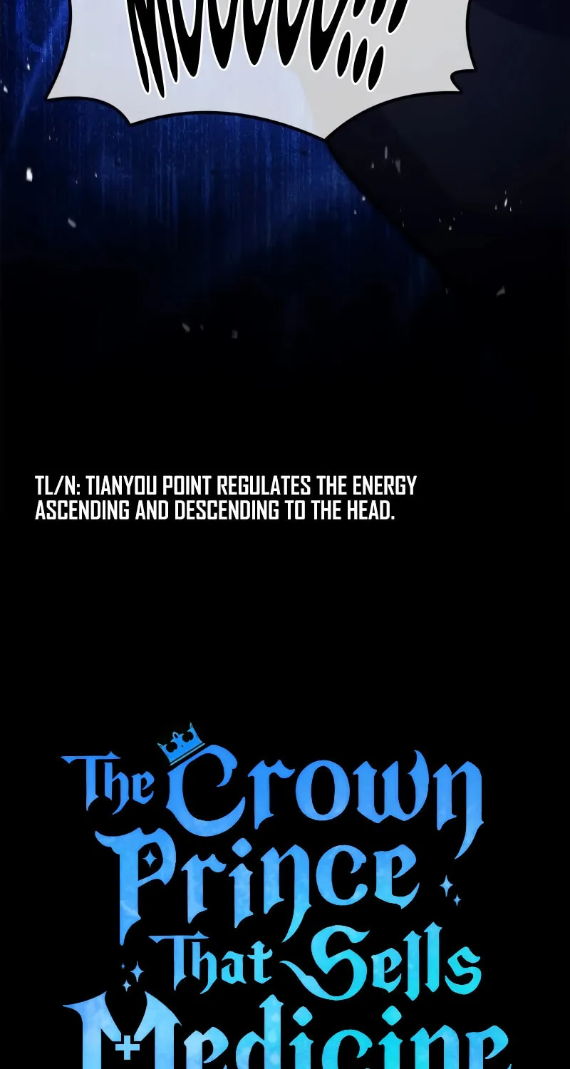 The Crown Prince That Sells Medicine Chapter 36 page 48 - 