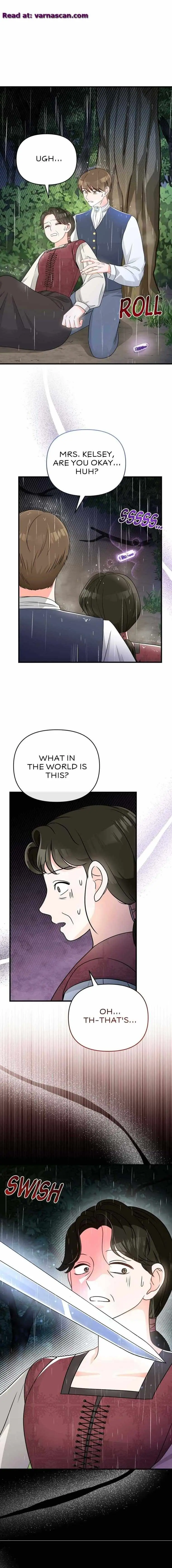 the-crown-princes-maid-makes-tea-very-well Chapter 19 page 17 - 