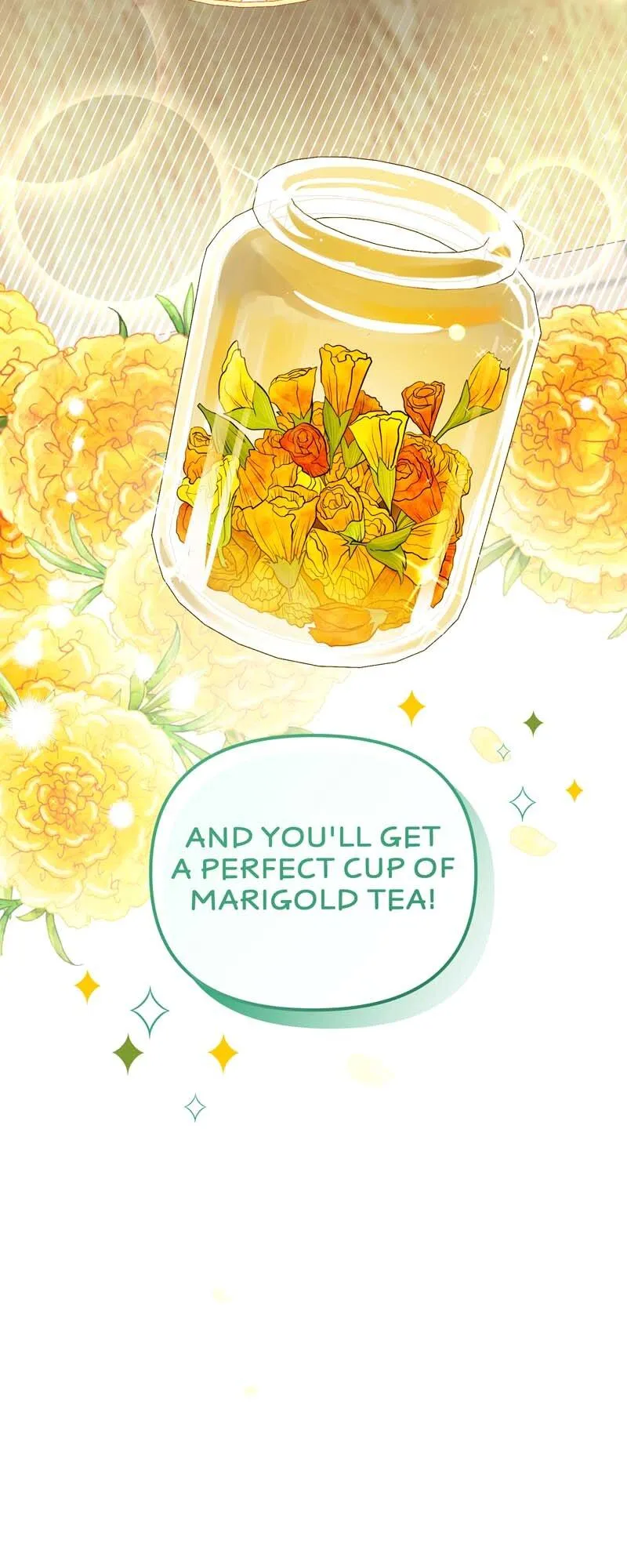 the-crown-princes-maid-makes-tea-very-well Chapter 20 page 63 - 