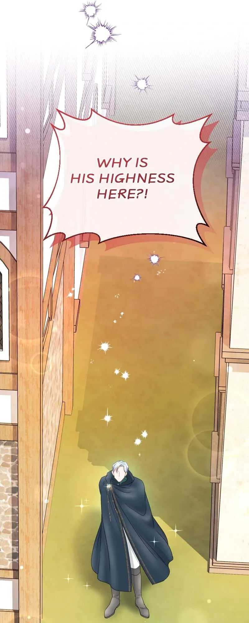 the-crown-princes-maid-makes-tea-very-well Chapter 25 page 71 - 