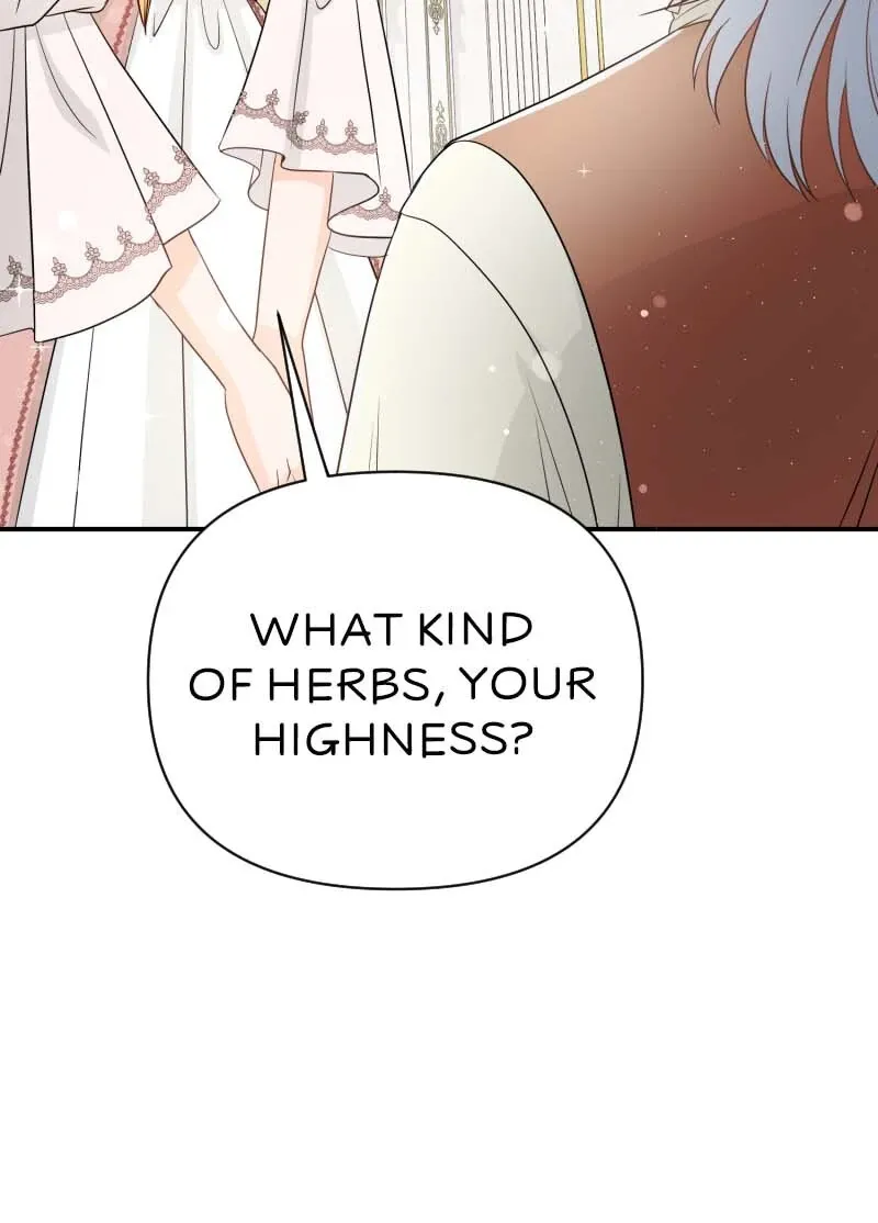 the-crown-princes-maid-makes-tea-very-well Chapter 44 page 50 - 