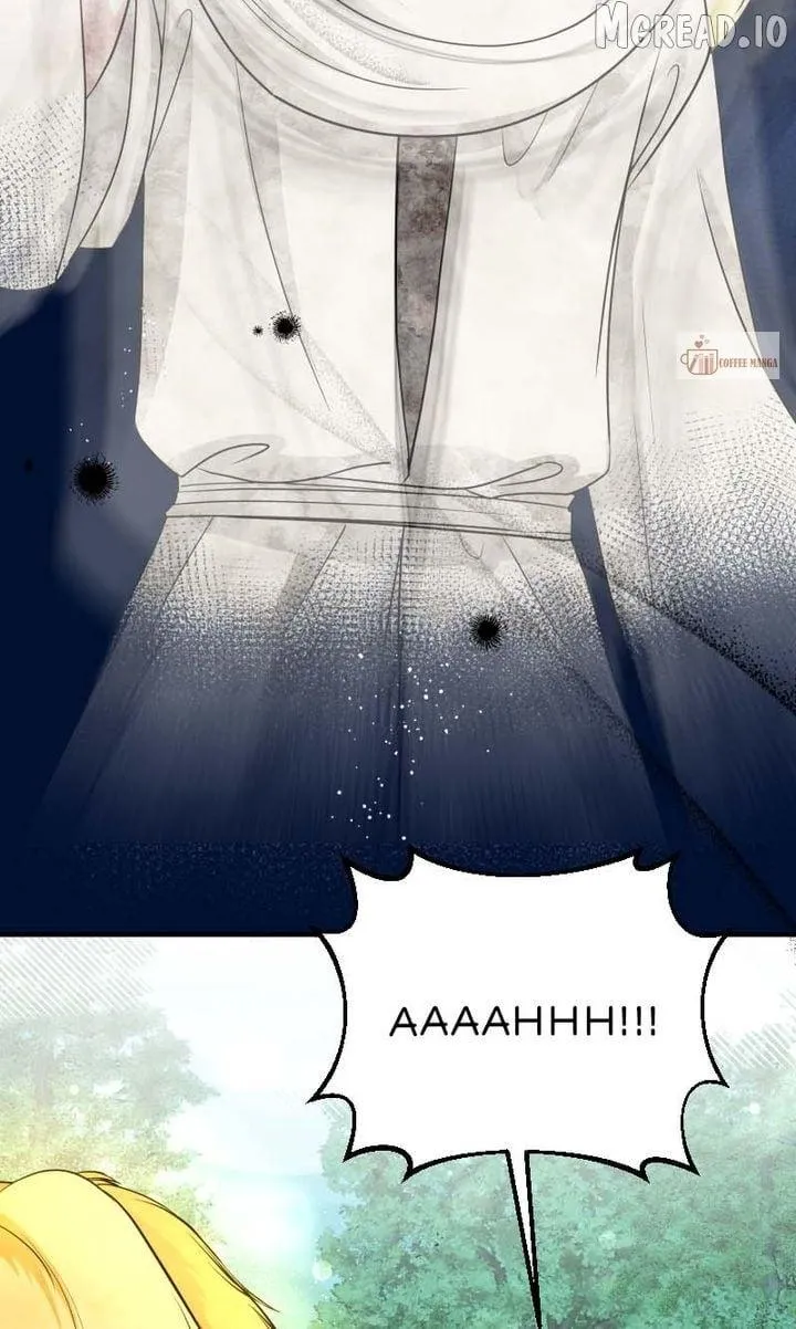 the-crown-princes-maid-makes-tea-very-well Chapter 51 page 29 - 