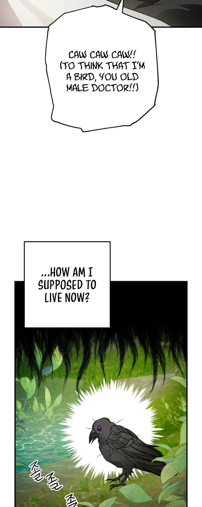 The Crow