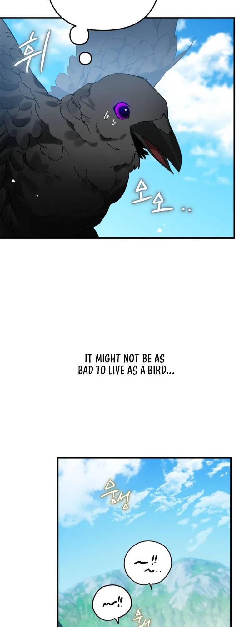 The Crow