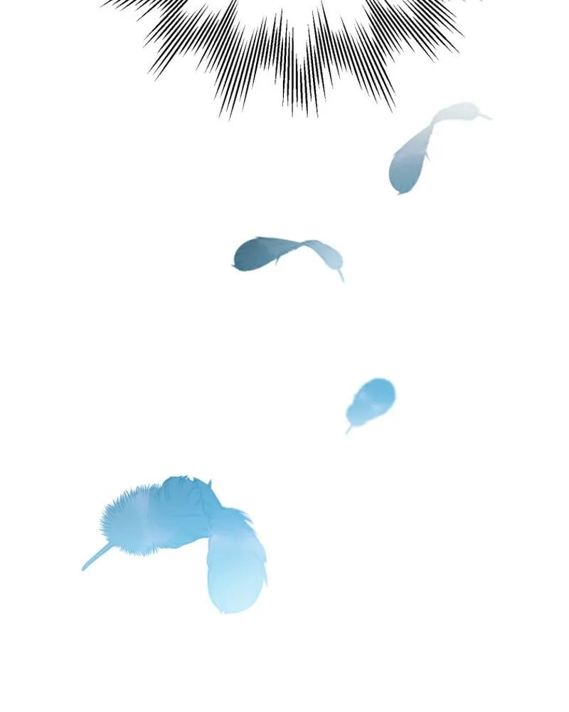 The Crow