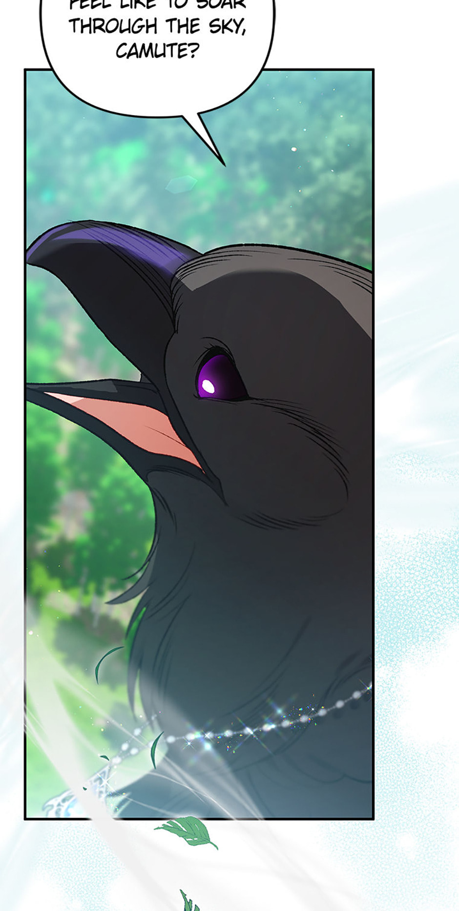 The Crow