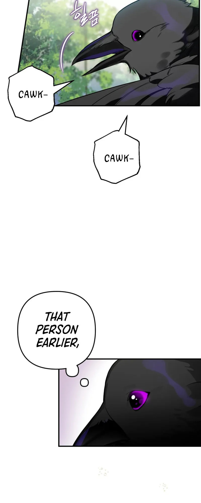 The Crow