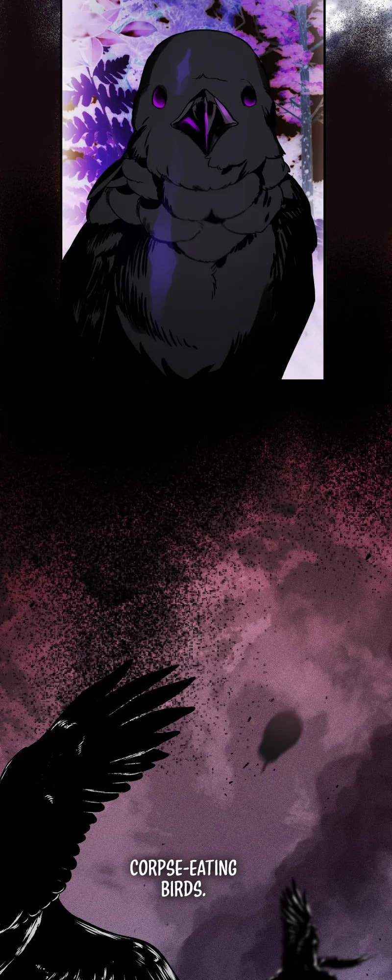 The Crow