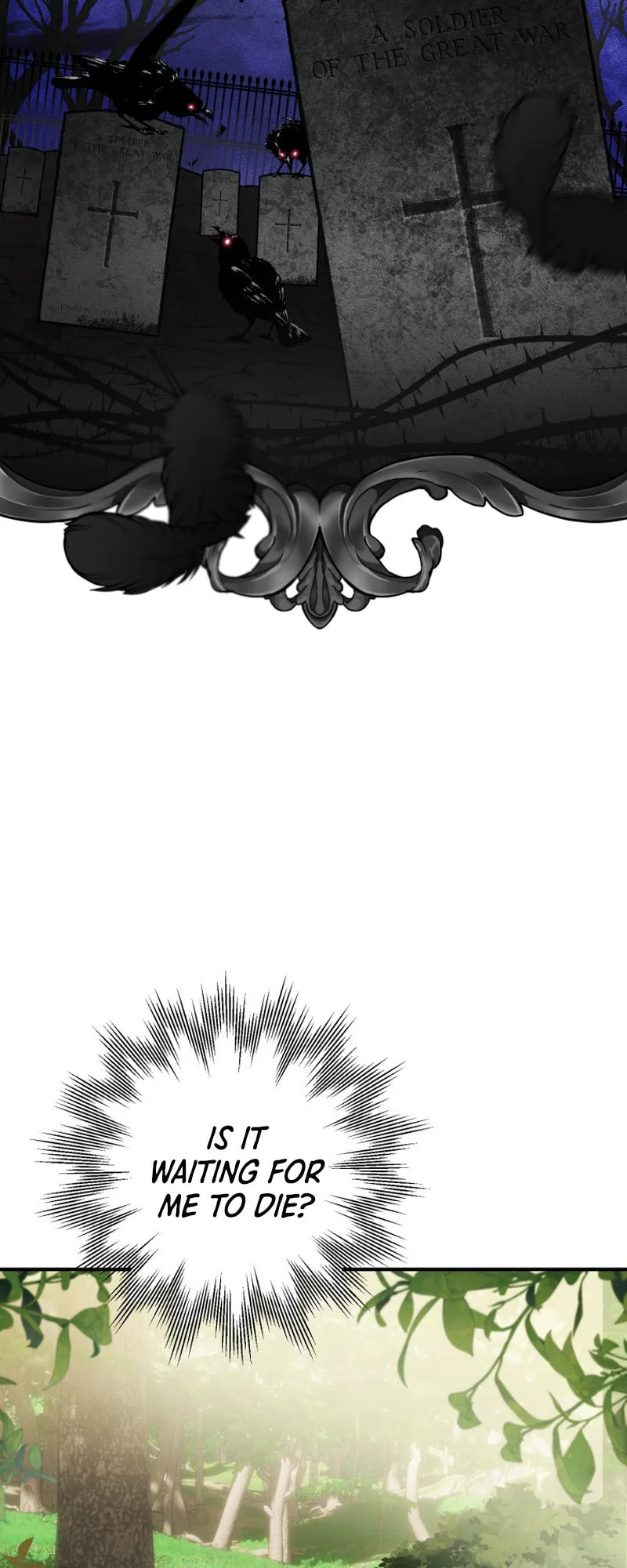 The Crow
