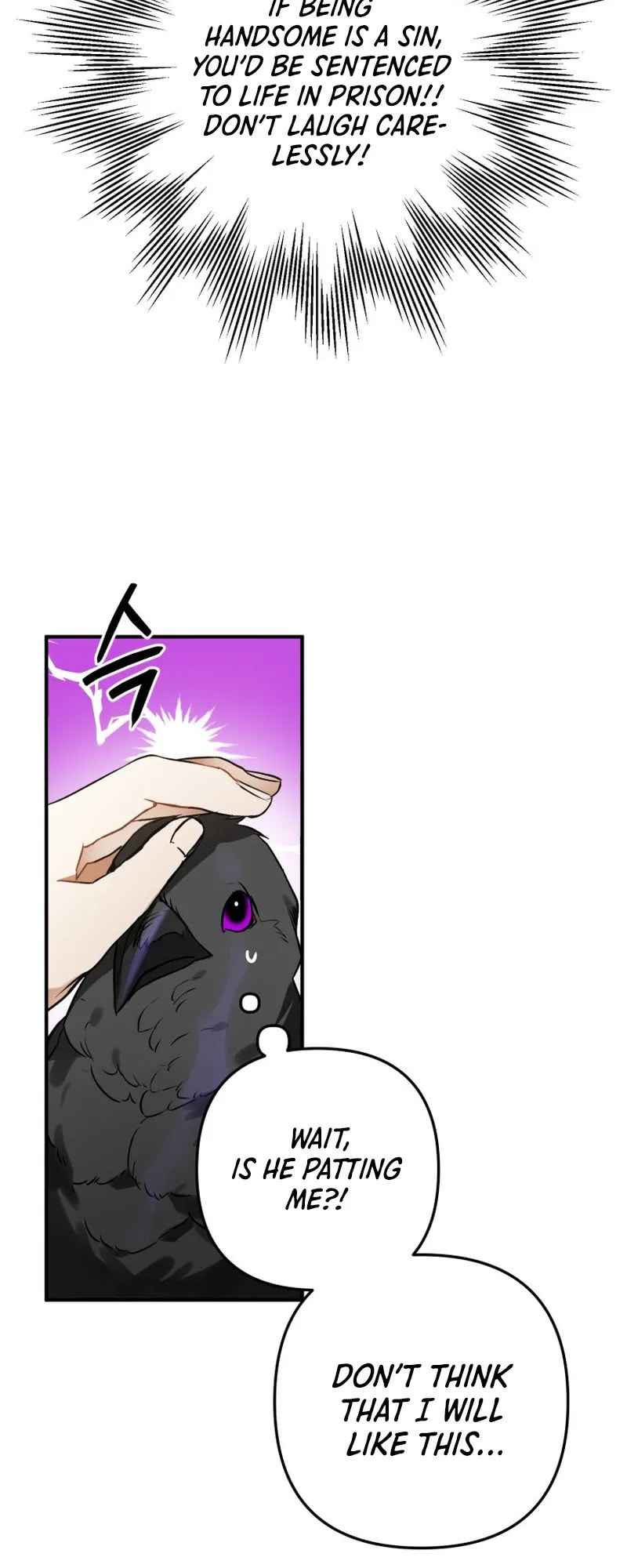 The Crow