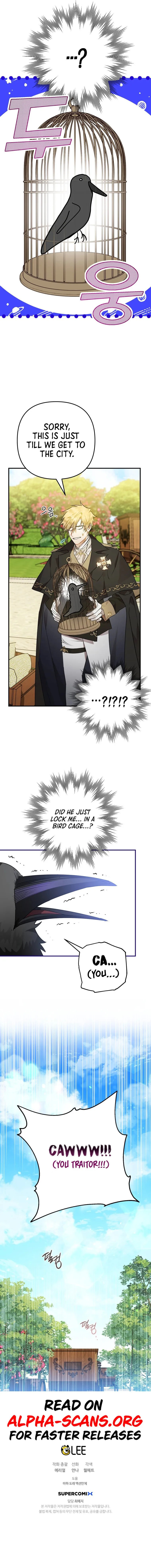 The Crow