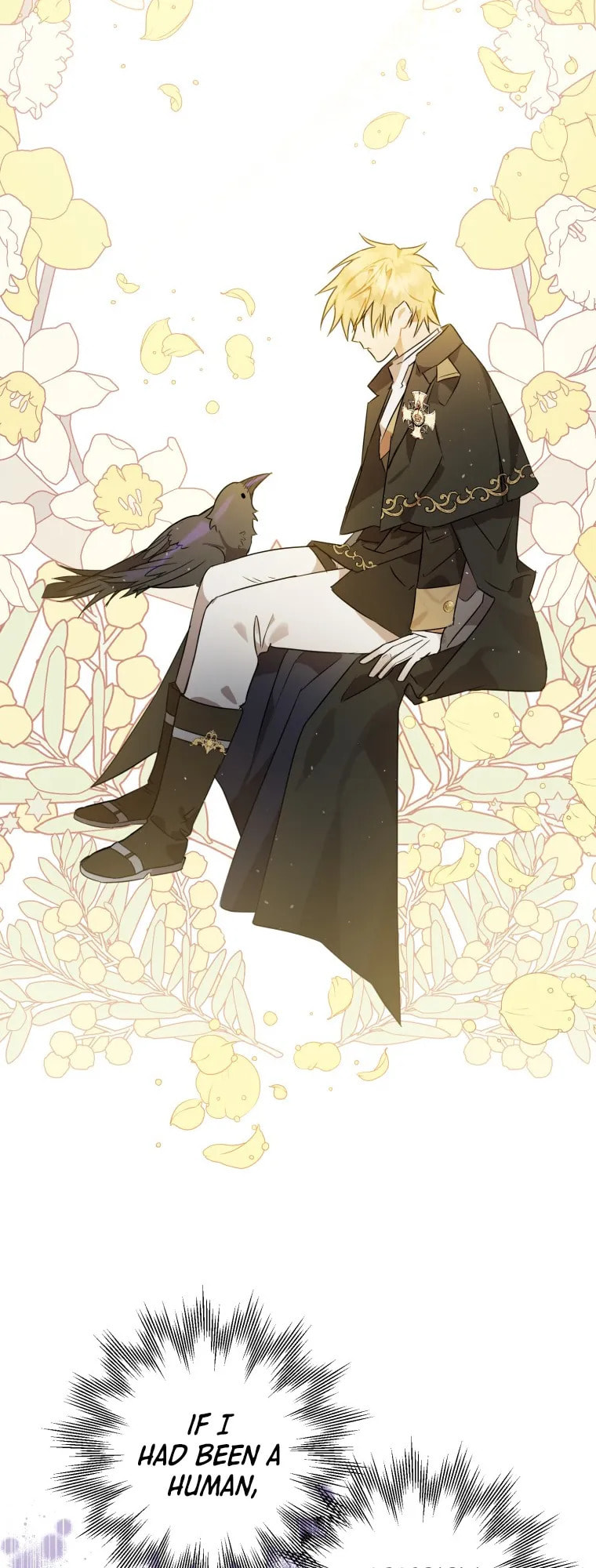 The Crow