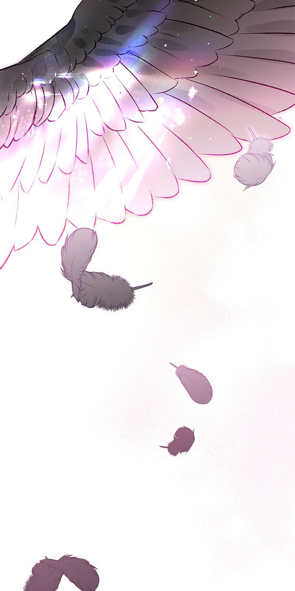 The Crow