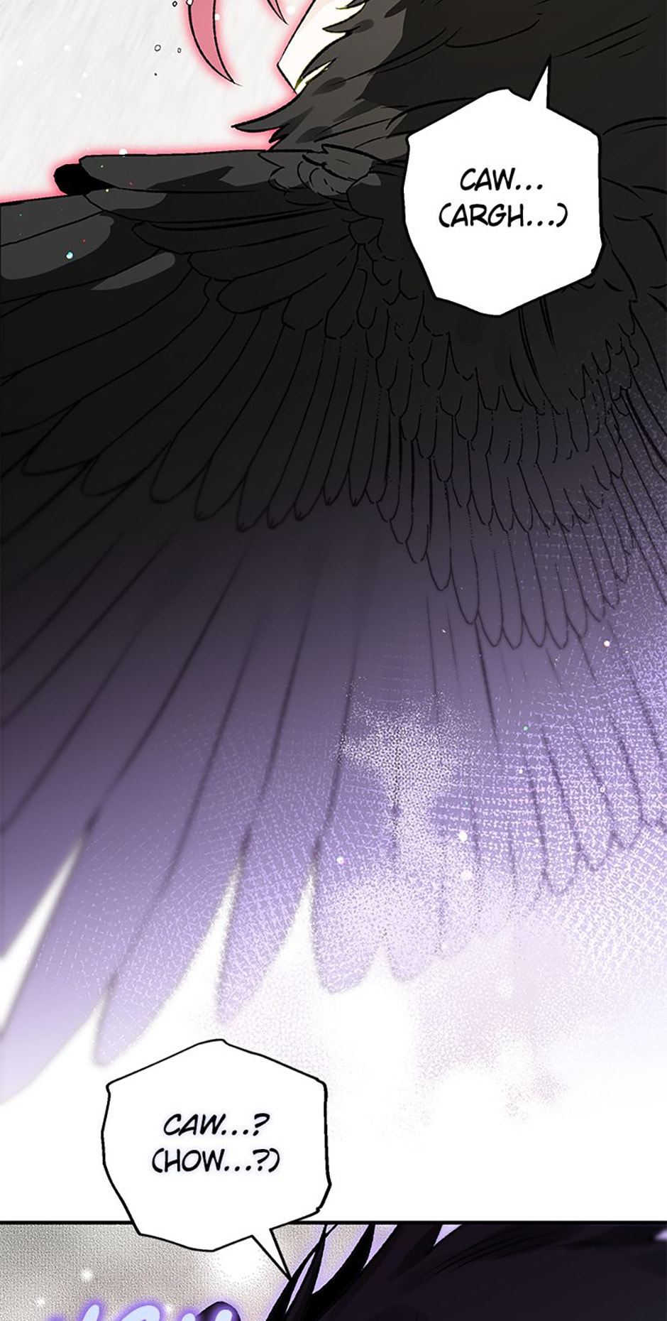 The Crow