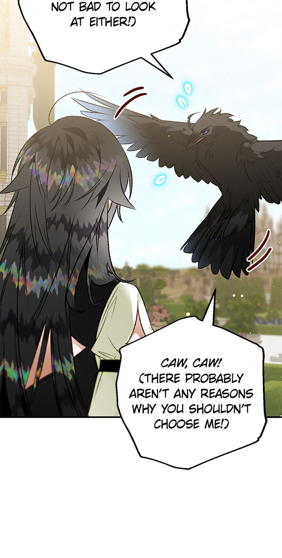 The Crow