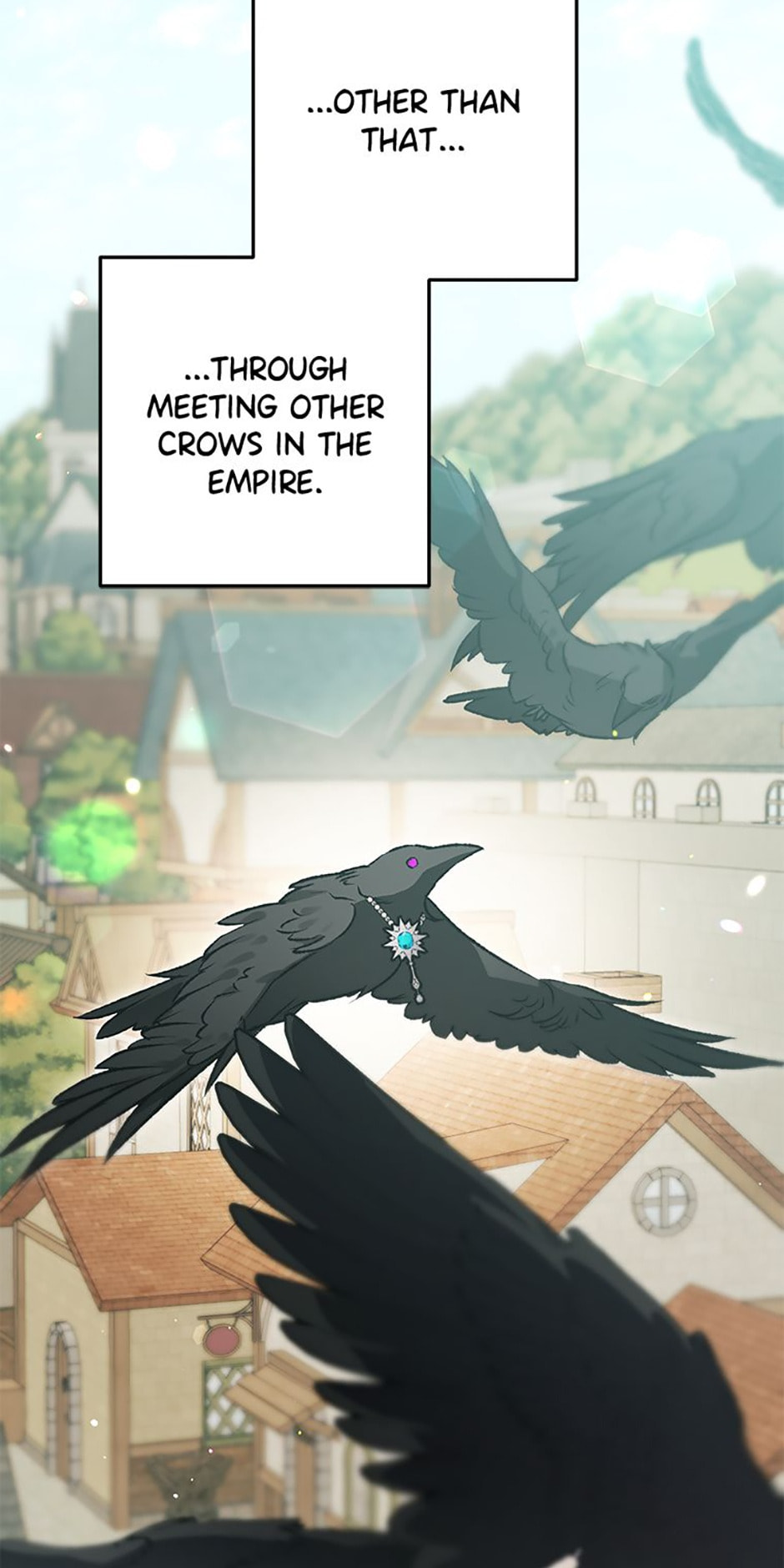 The Crow