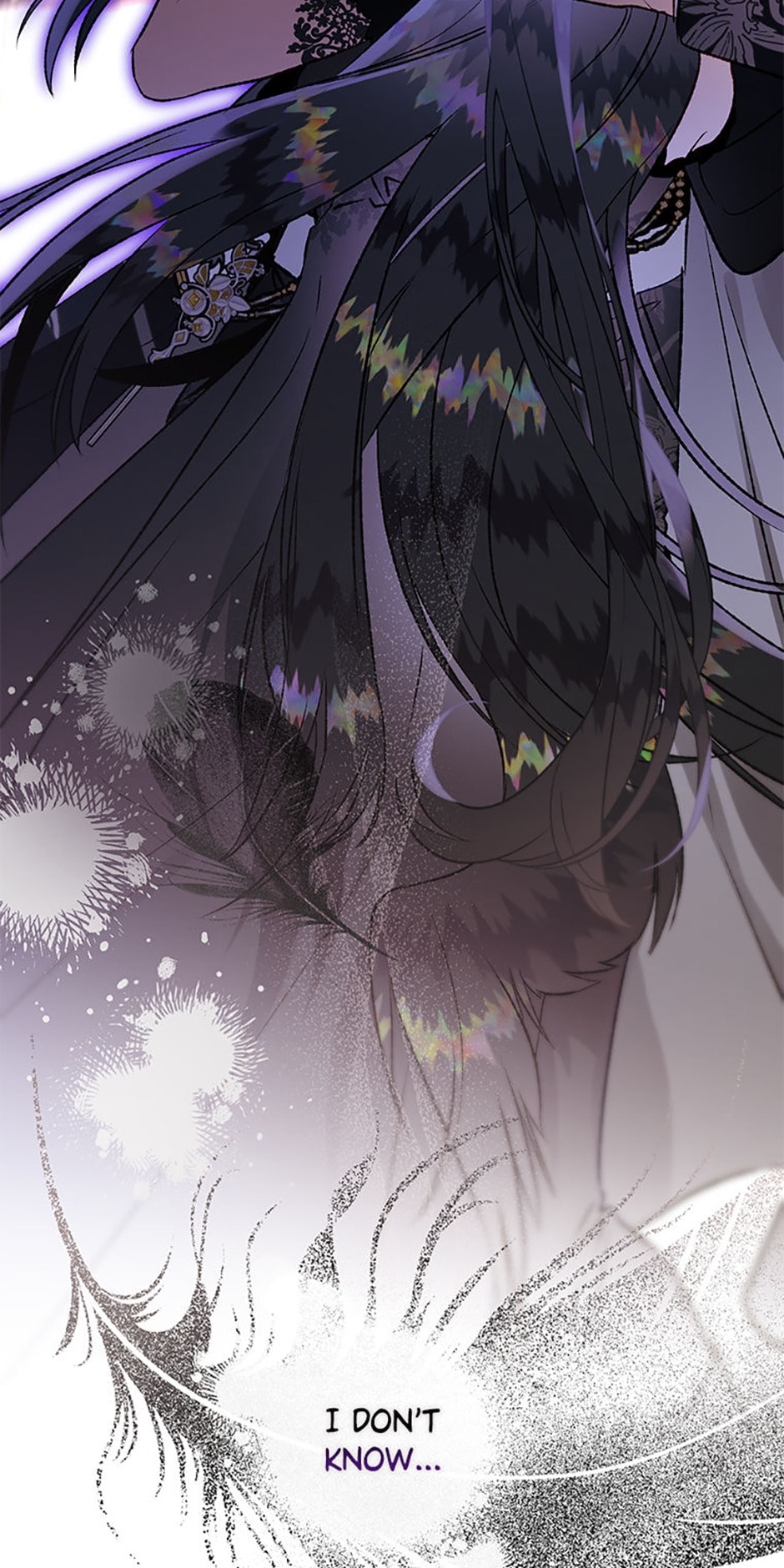 The Crow