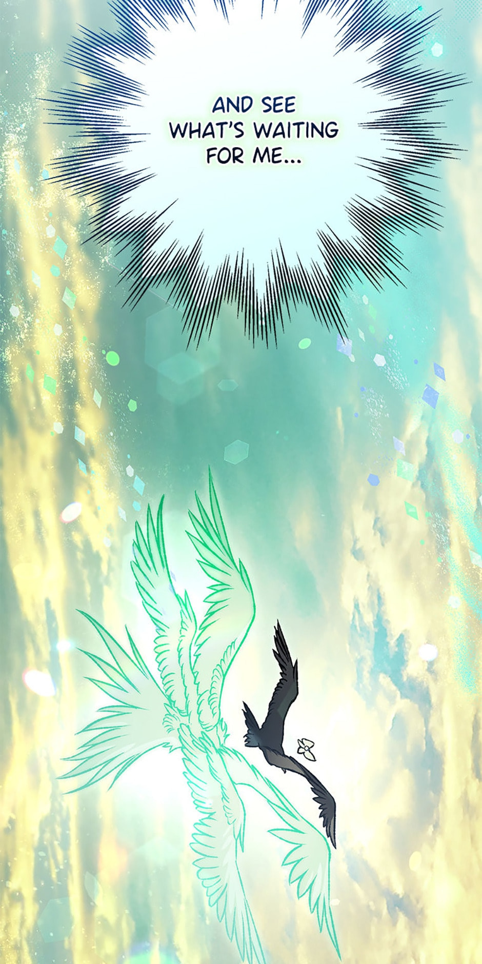 The Crow