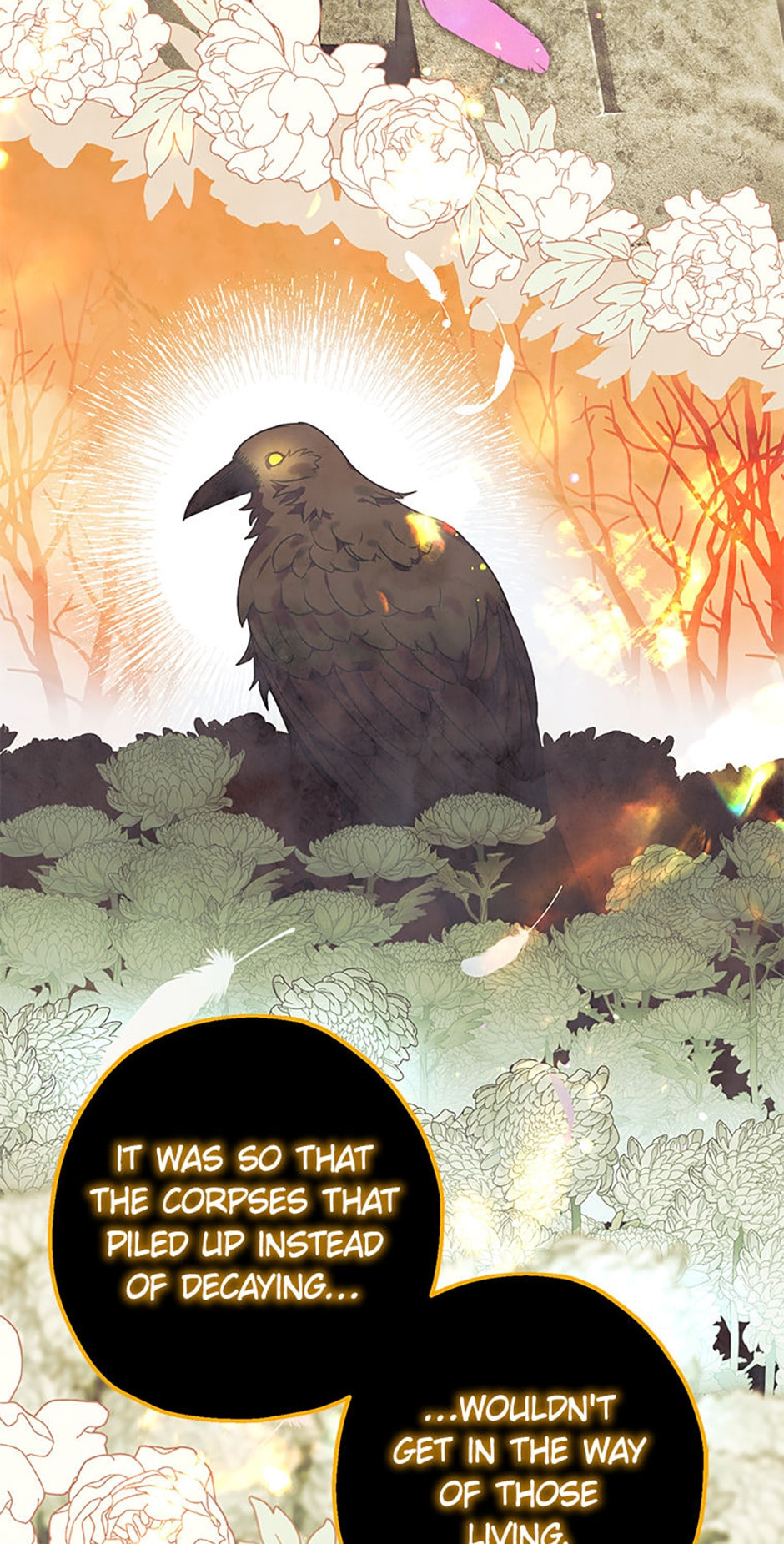 The Crow