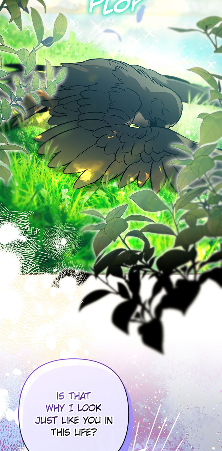 The Crow