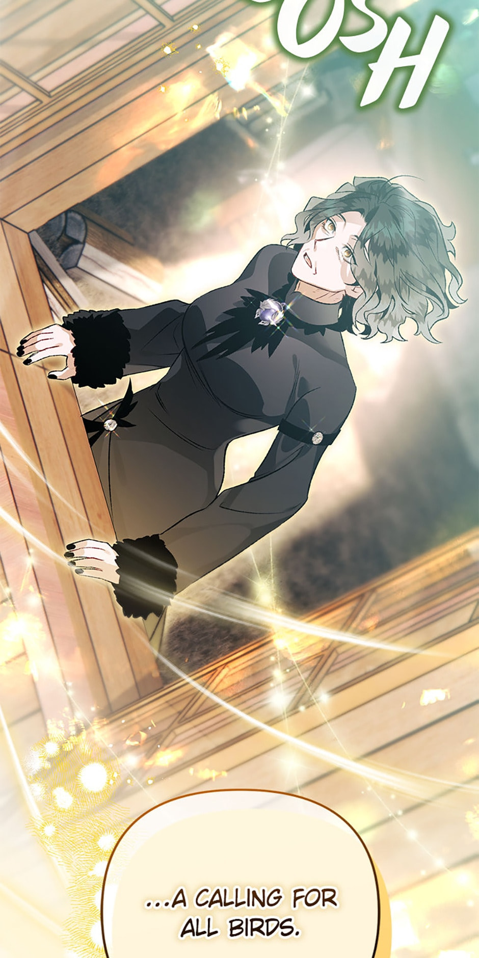 The Crow