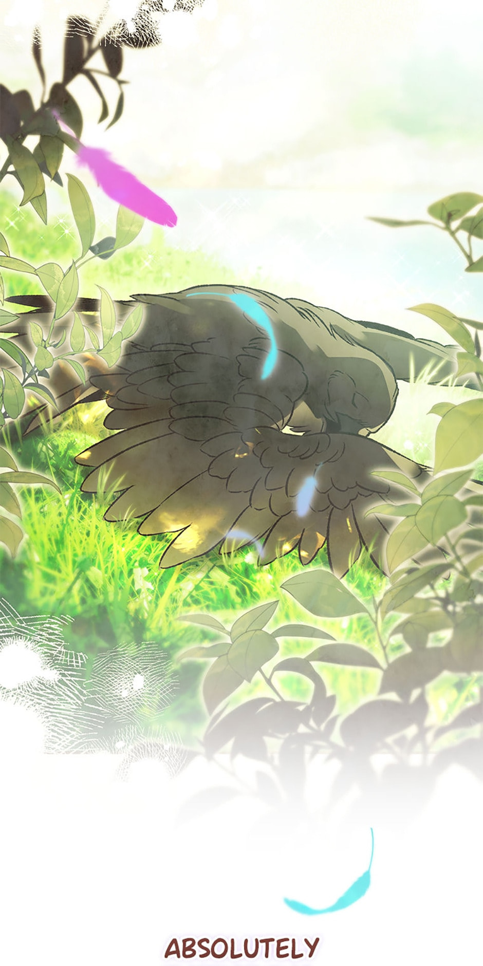 The Crow