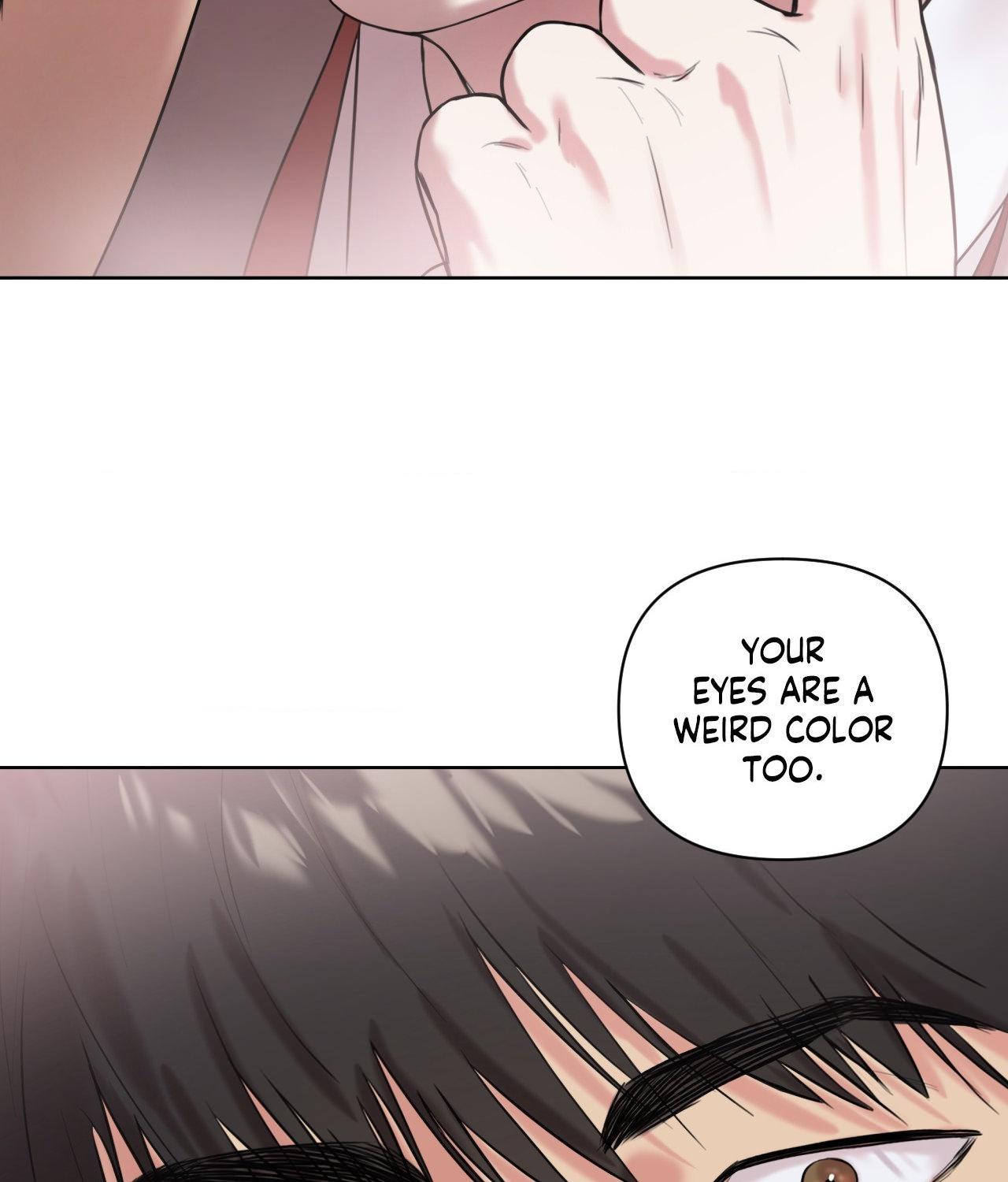 The Cuckoo Refuses to Leave the Nest Chapter 35 page 78 - 