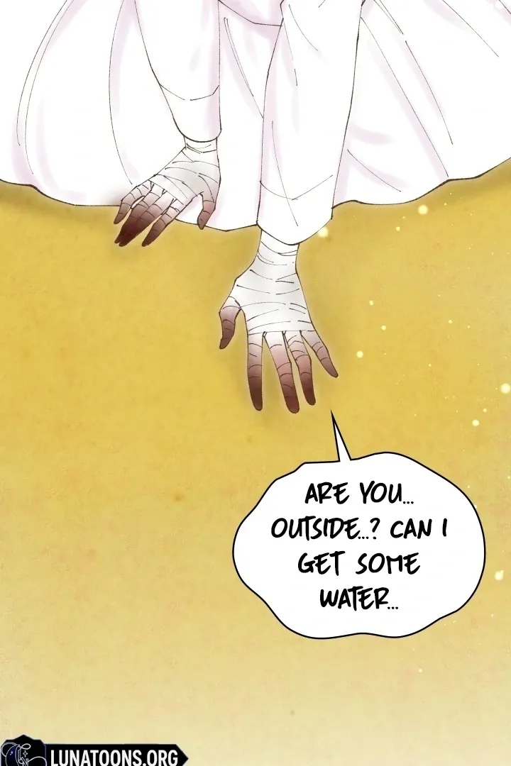 The Curse Bearer Chapter 5 page 88 - 