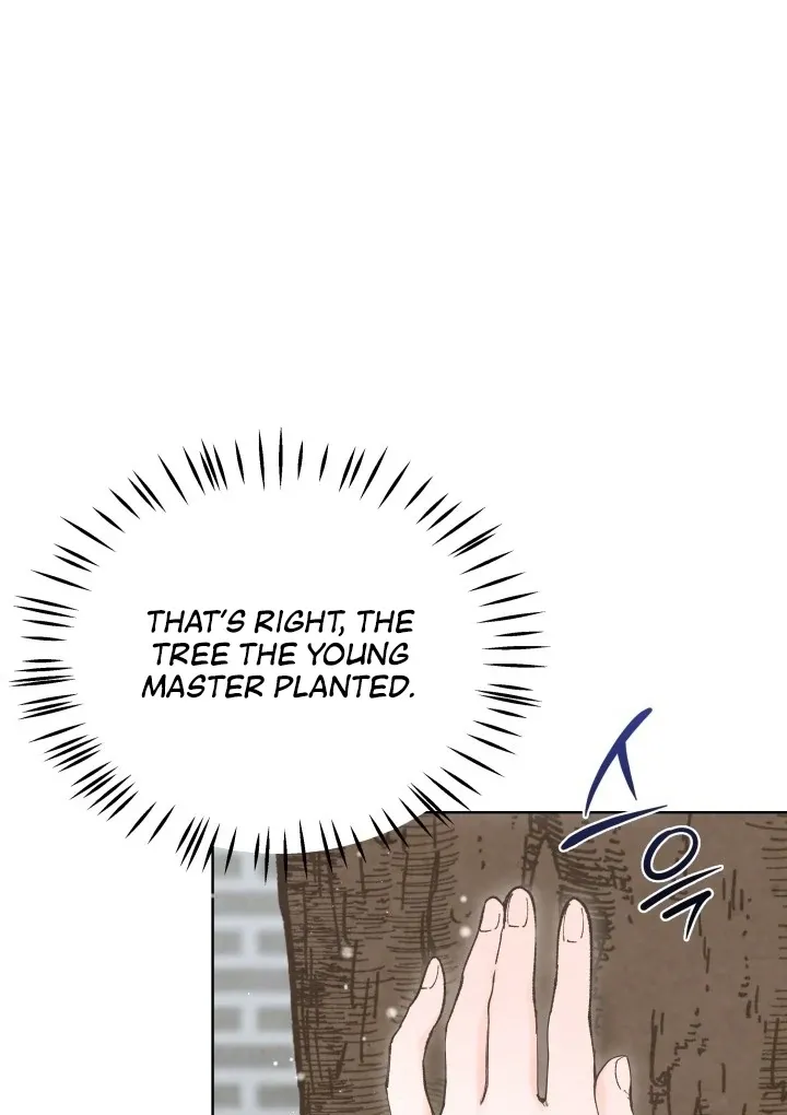 The Curse Bearer Chapter 6 page 41 - 