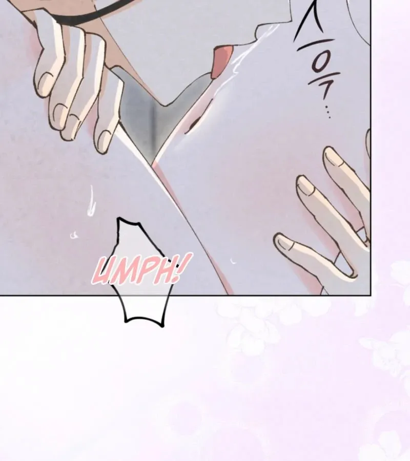 The Curse Bearer Chapter 7 page 50 - 
