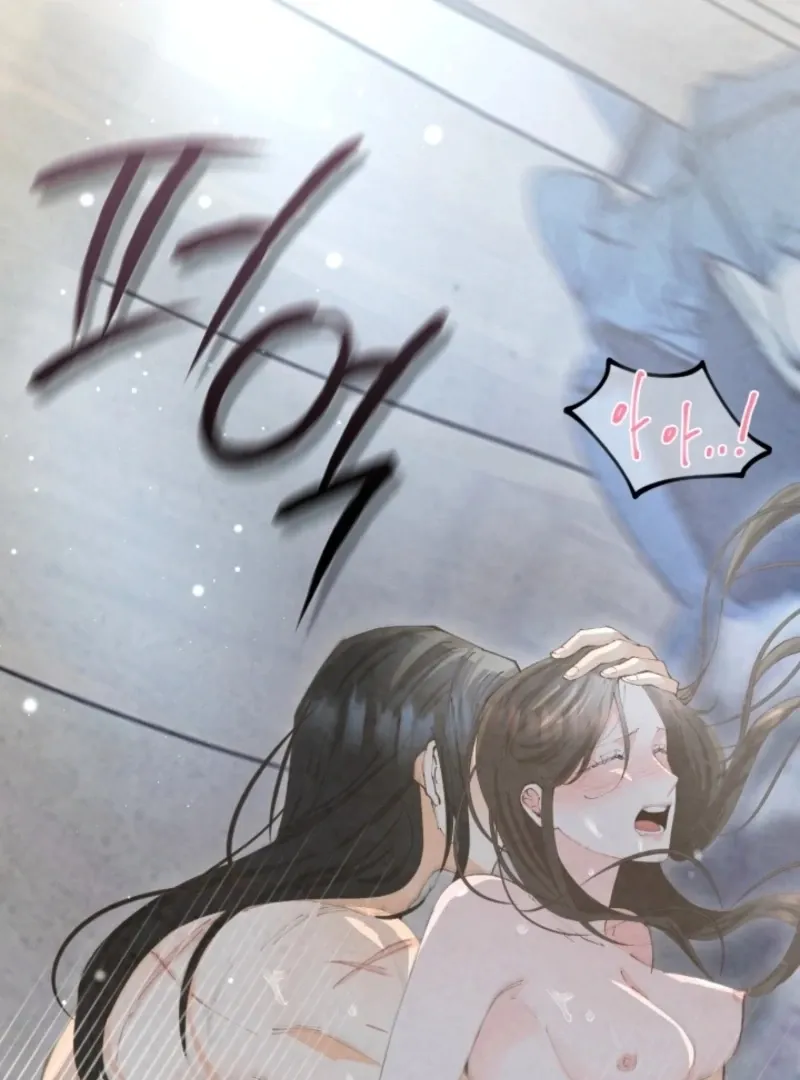 The Curse Bearer Chapter 9 page 15 - 
