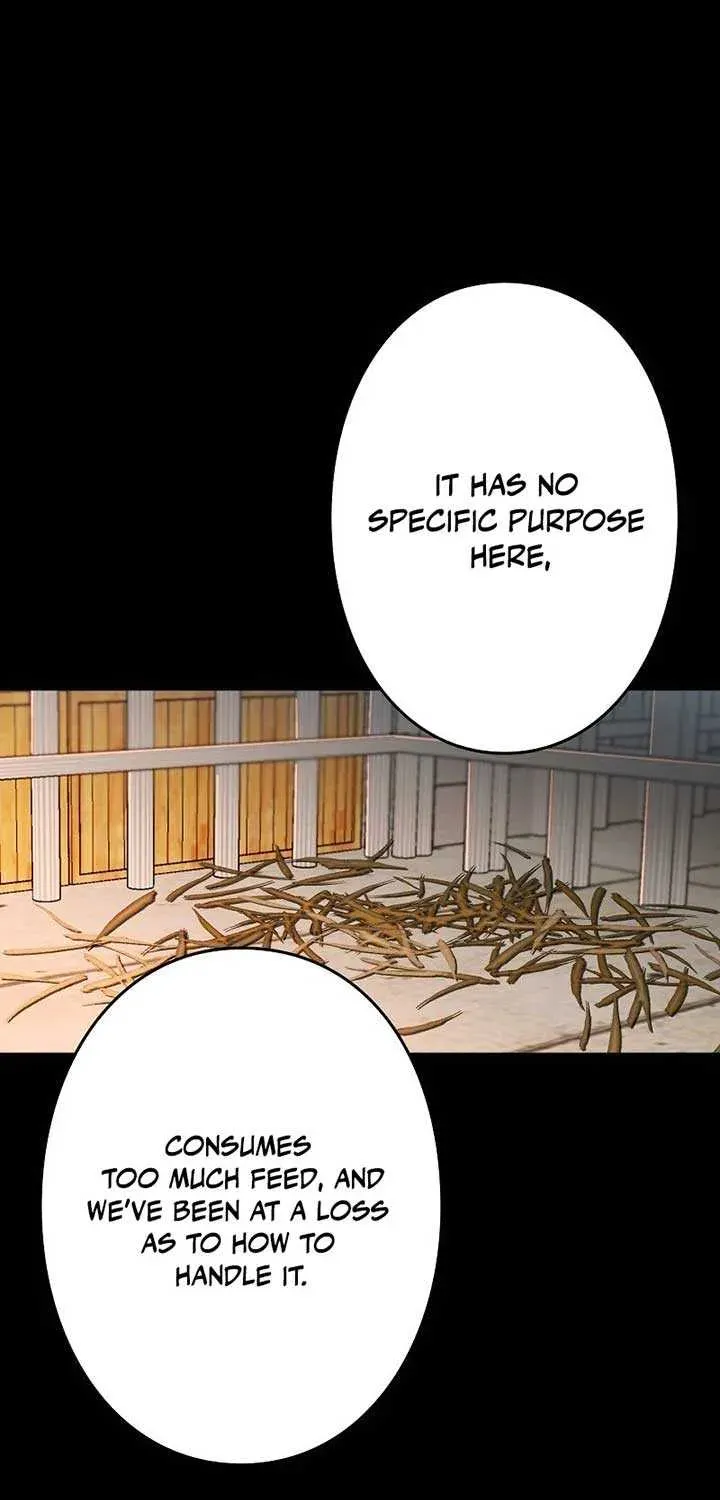 The Cursed Princess Must Rewind the Clock Chapter 10.1 page 16 - 