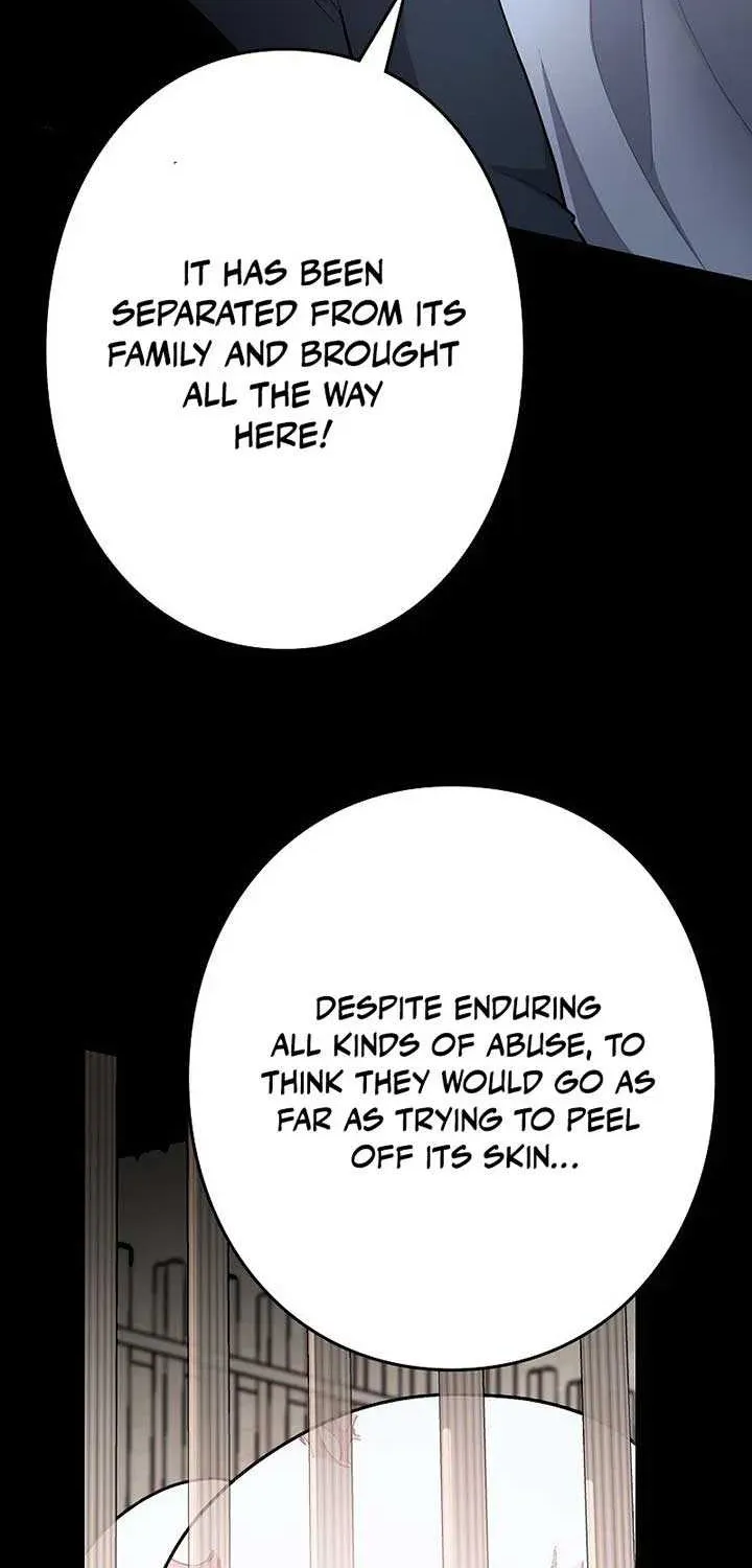 The Cursed Princess Must Rewind the Clock Chapter 10.1 page 19 - 