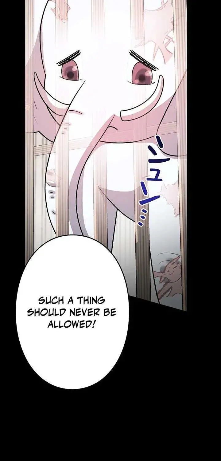 The Cursed Princess Must Rewind the Clock Chapter 10.1 page 20 - 