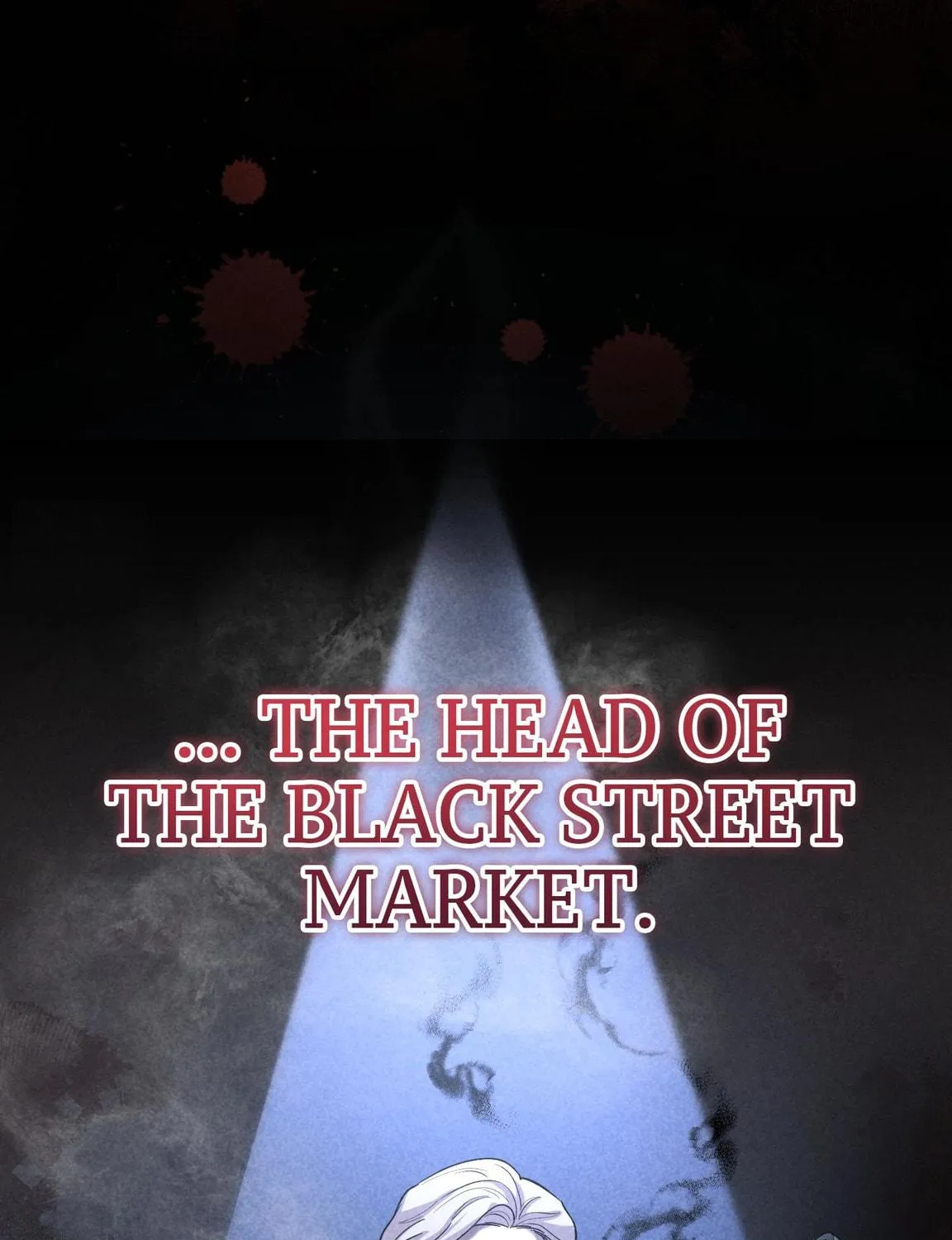 The Cursed Princess Must Rewind the Clock Chapter 12 page 205 - 