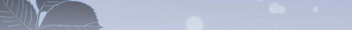 The Cursed Princess Must Rewind the Clock Chapter 2 page 59 - 