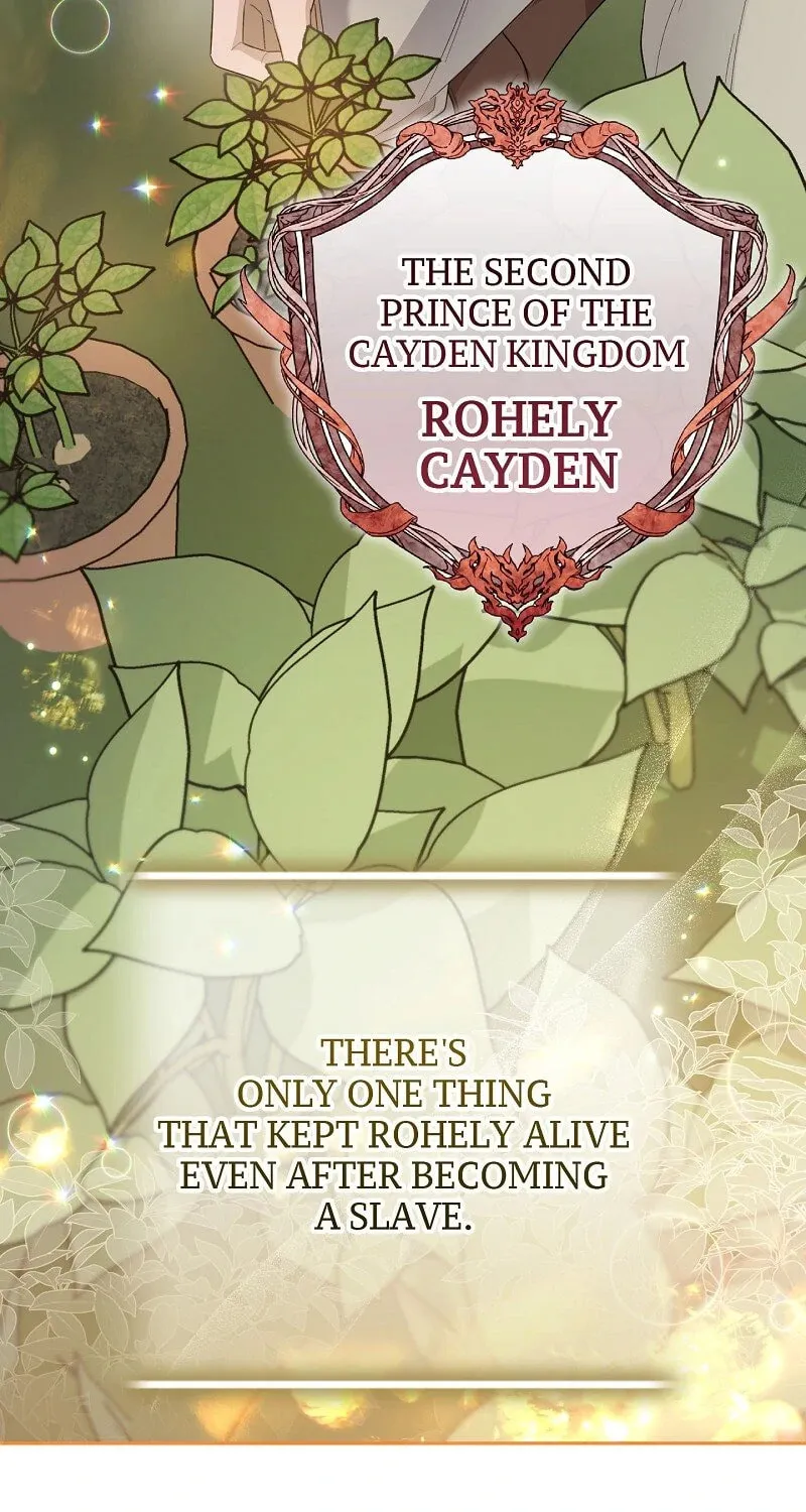 The Cursed Princess Must Rewind the Clock Chapter 26 page 135 - 
