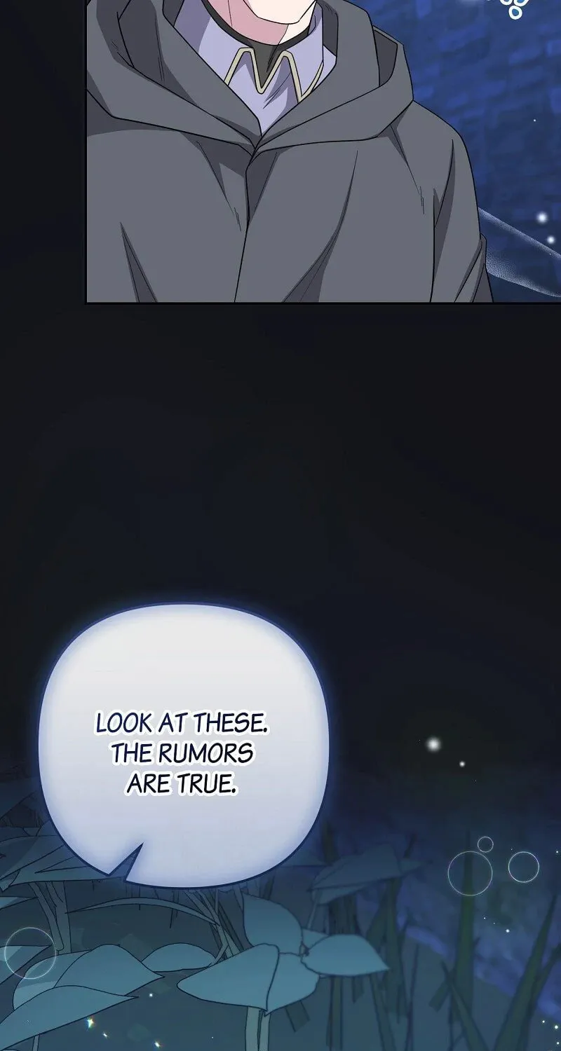 The Cursed Princess Must Rewind the Clock Chapter 27 page 15 - 